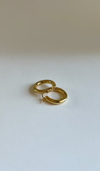 Small Gold Hoop Earrings